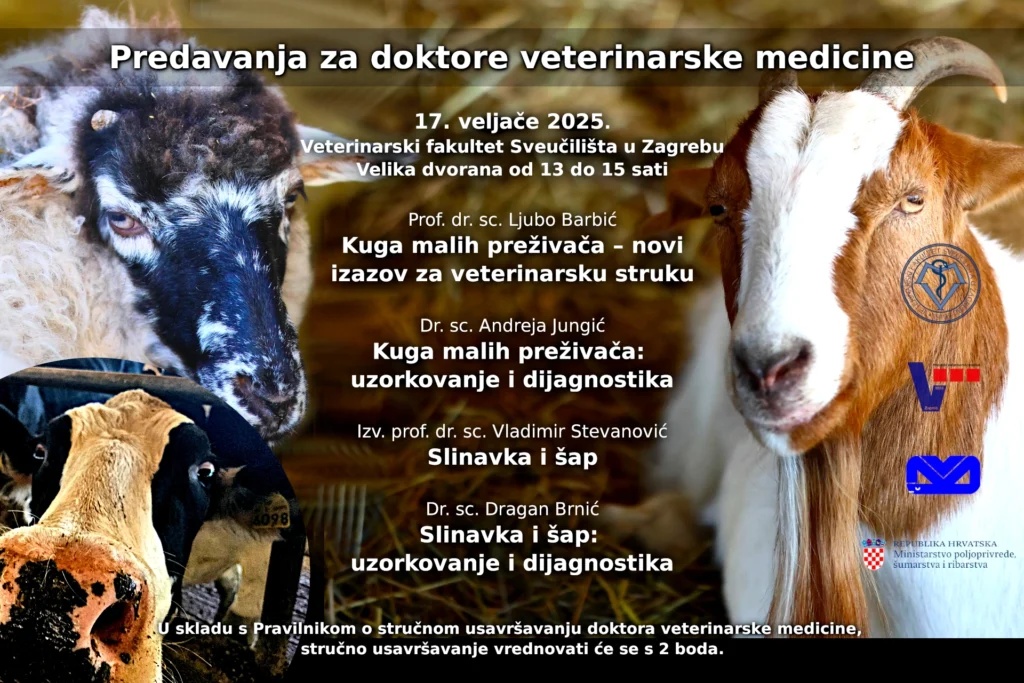 radionica-slinavka-sap-kuga-malih-prezivaca-2025-02-17-zagreb-fin